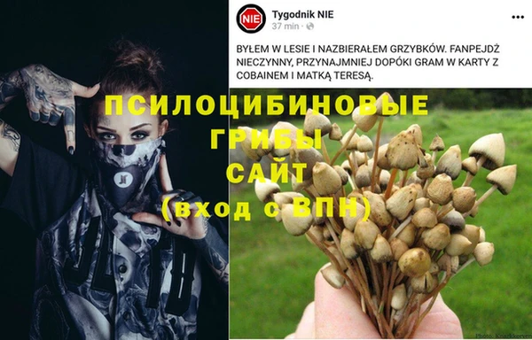 мет Белокуриха