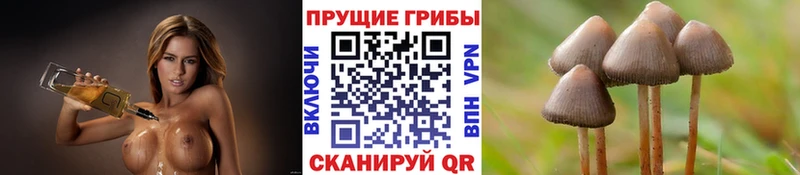 Галлюциногенные грибы мицелий  Макаров 